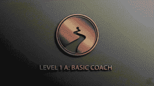 Level 1 A - Basic Coach Practitioner