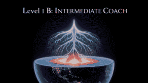 Level 1 B - Intermediate Coach Practitioner